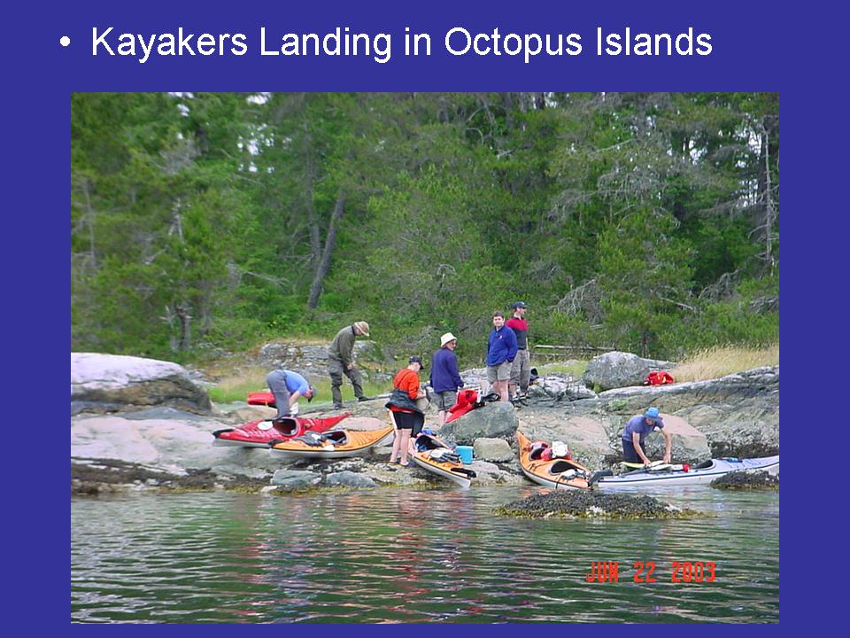Kayakers Landing in Octopus Islands