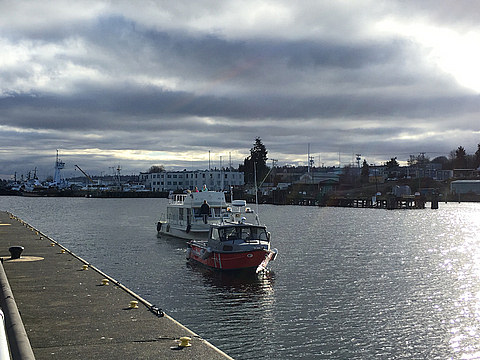 The Royal Way, Under tow heading for the Ballard Locks